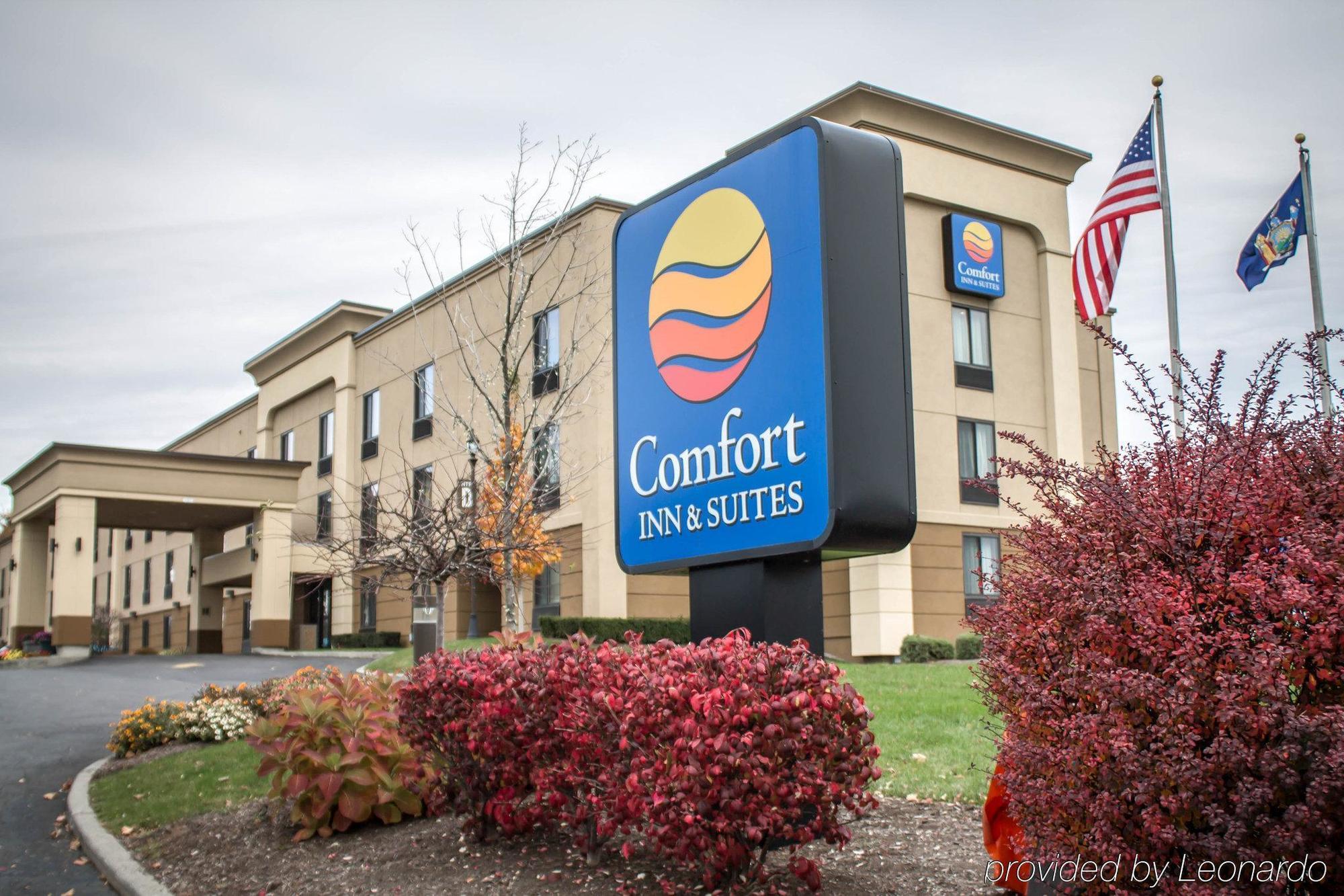 Holiday Inn Express & Suites - Albany Airport - Wolf Road By Ihg Zewnętrze zdjęcie