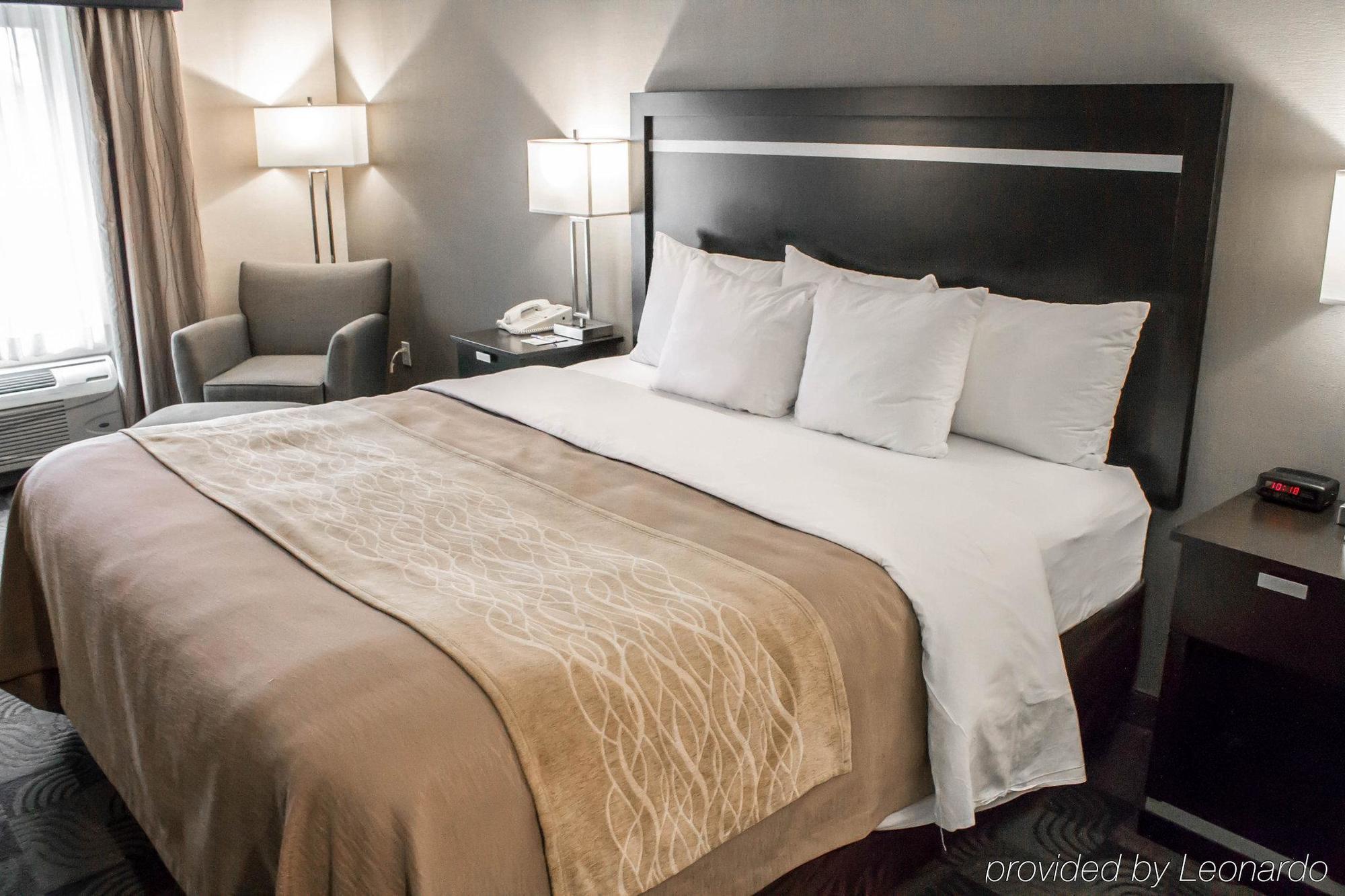 Holiday Inn Express & Suites - Albany Airport - Wolf Road By Ihg Zewnętrze zdjęcie