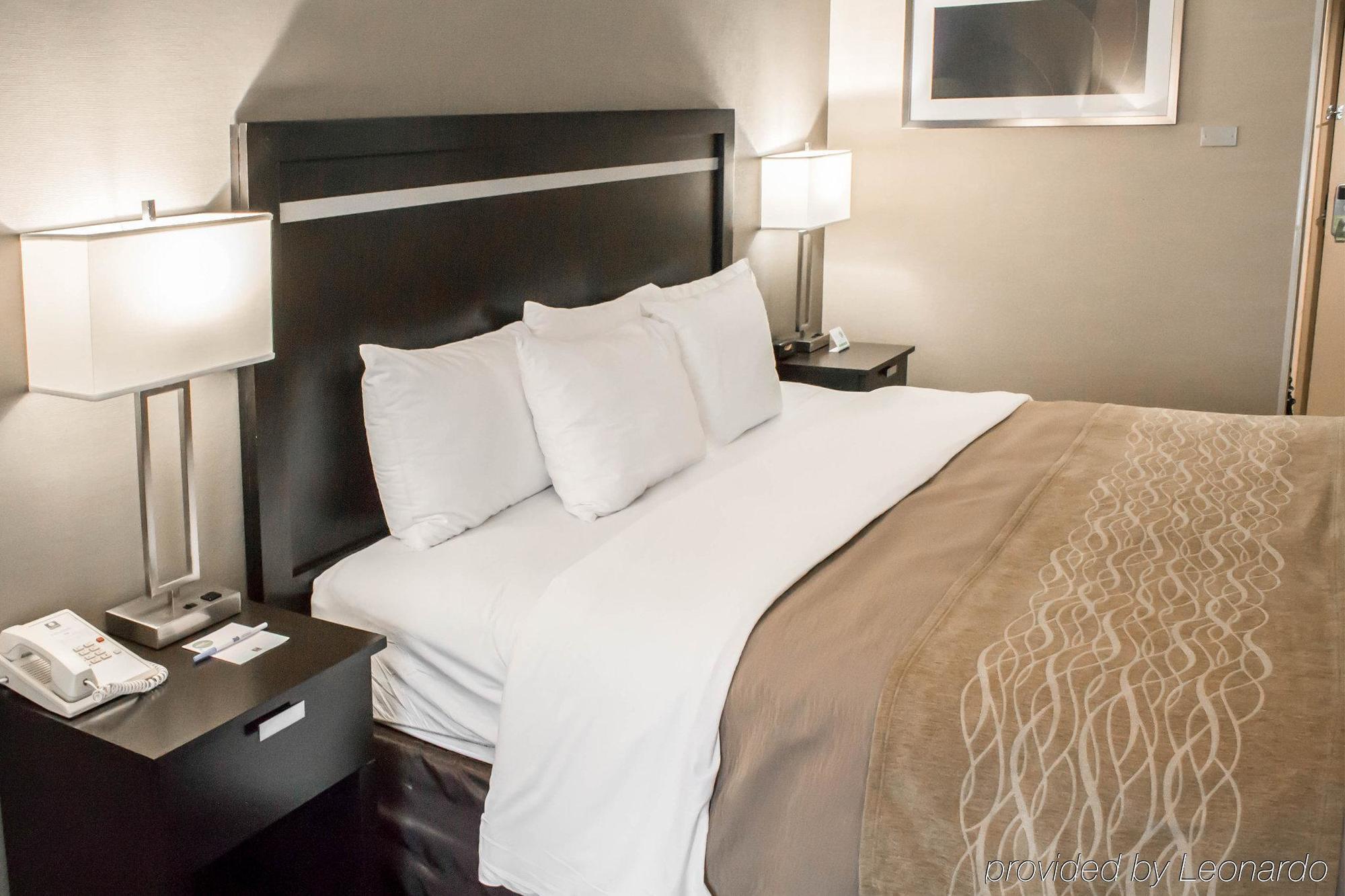 Holiday Inn Express & Suites - Albany Airport - Wolf Road By Ihg Zewnętrze zdjęcie