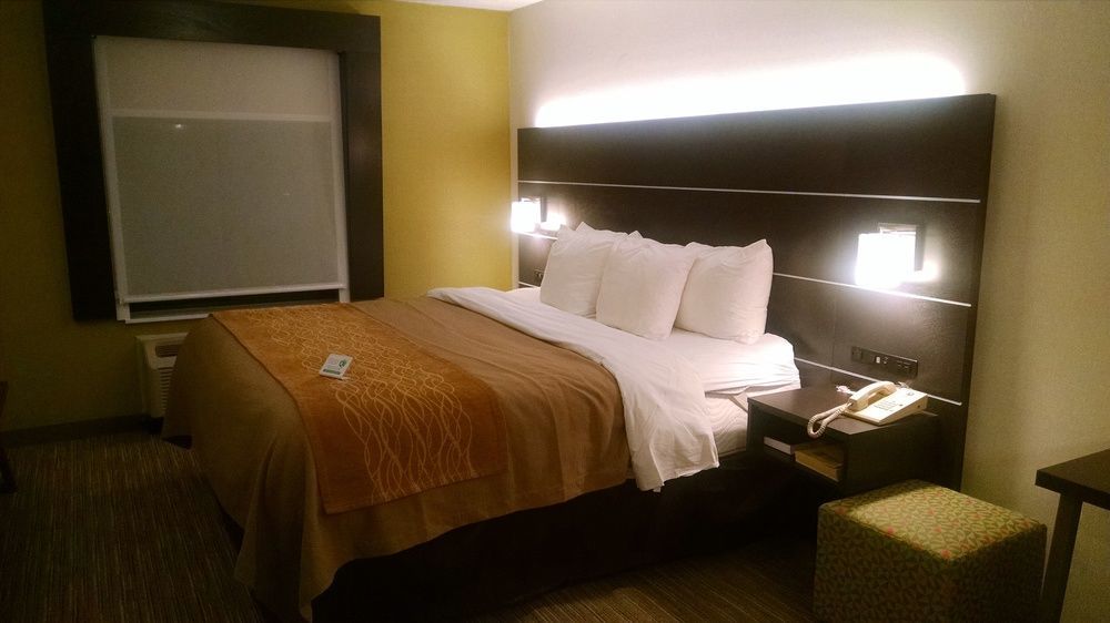 Holiday Inn Express & Suites - Albany Airport - Wolf Road By Ihg Zewnętrze zdjęcie