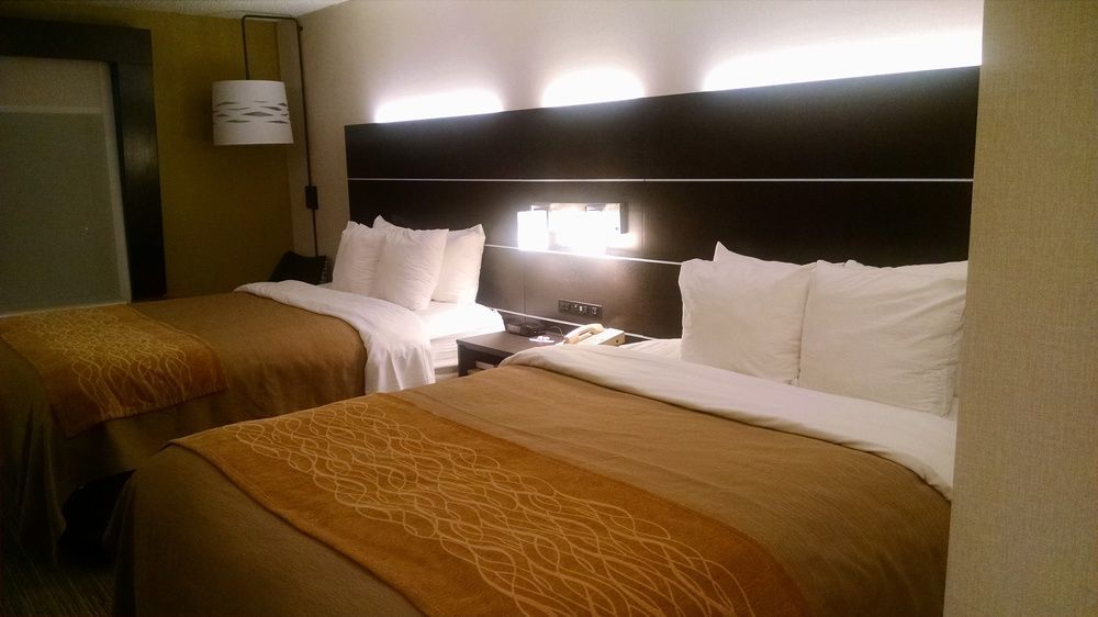 Holiday Inn Express & Suites - Albany Airport - Wolf Road By Ihg Zewnętrze zdjęcie