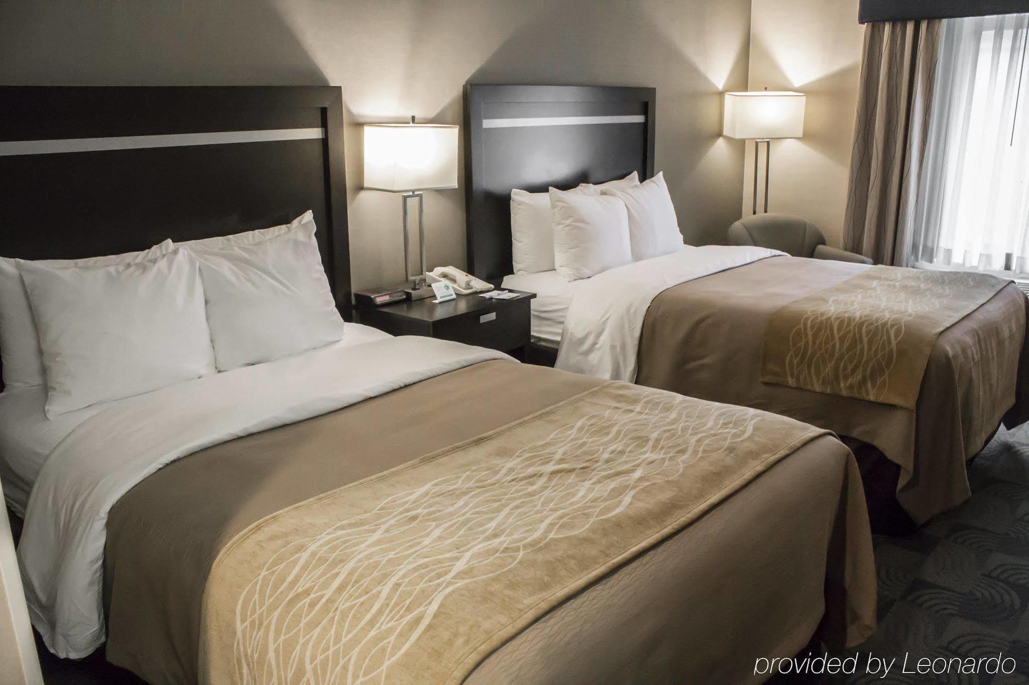 Holiday Inn Express & Suites - Albany Airport - Wolf Road By Ihg Zewnętrze zdjęcie